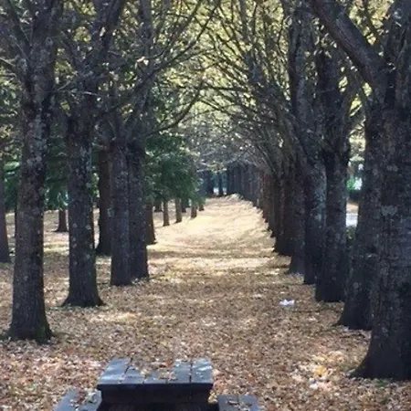 Lägenhet A Pochi Metri Dal Mare